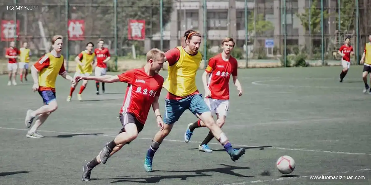 ✨ 一键订阅，精彩不断！最新赛事资讯，第一时间送达！